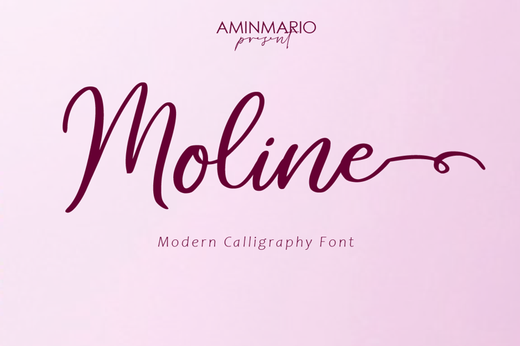 Moline Font website image