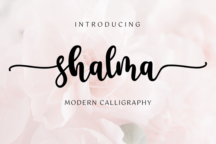 shalma Font website image