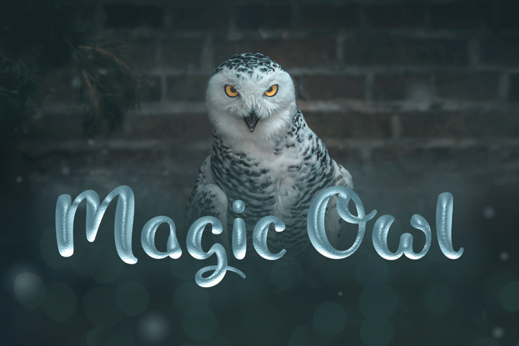 Magic Owl Font website image