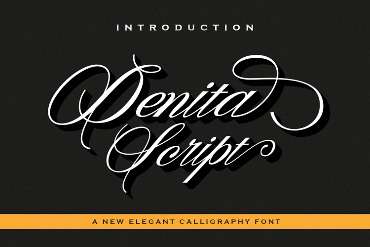 Denita Script Font website image