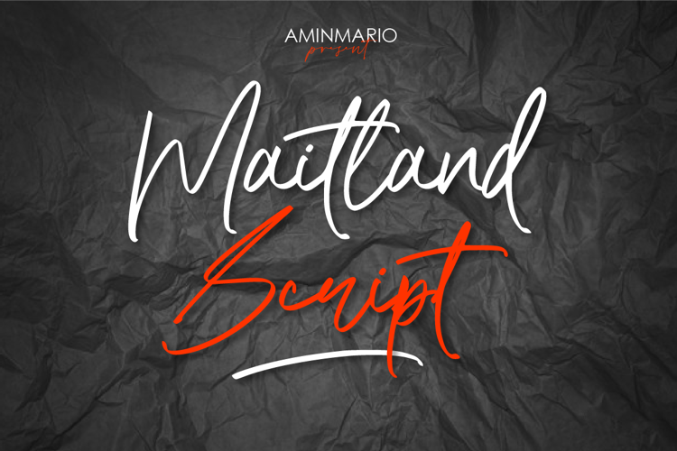Maitland Script Font website image