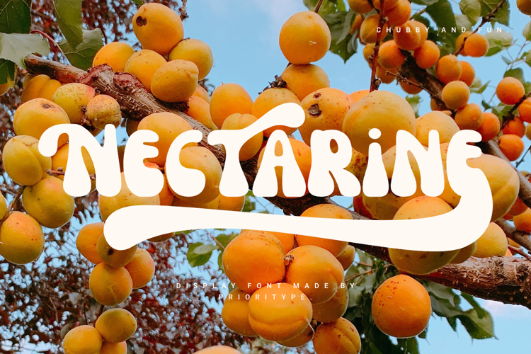 Nectarine Font website image