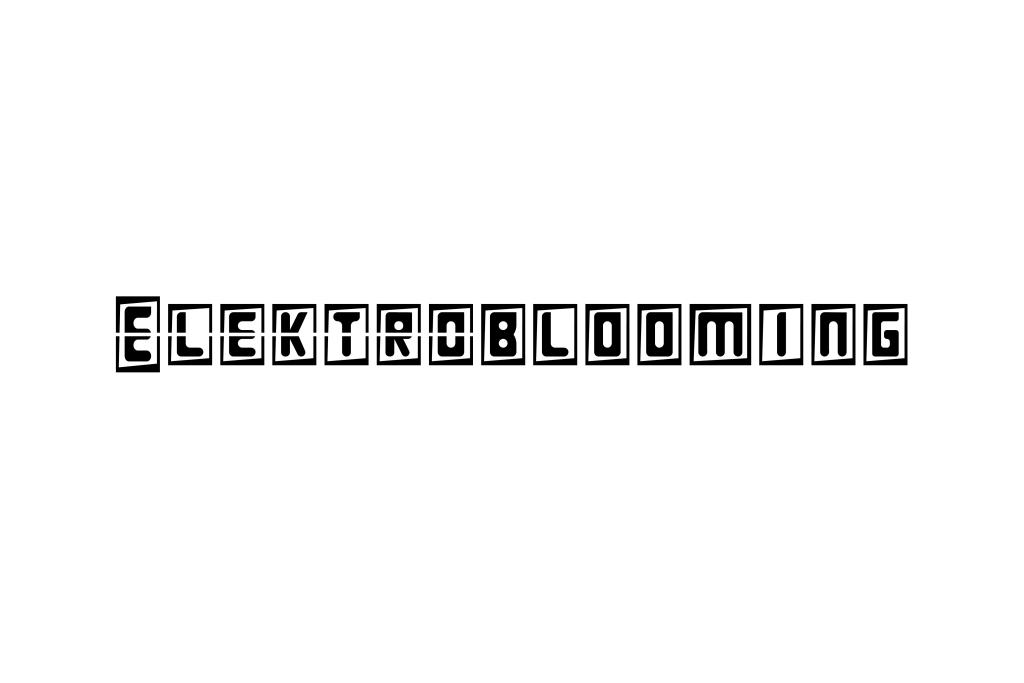 Elektroblooming Demo Font Family website image