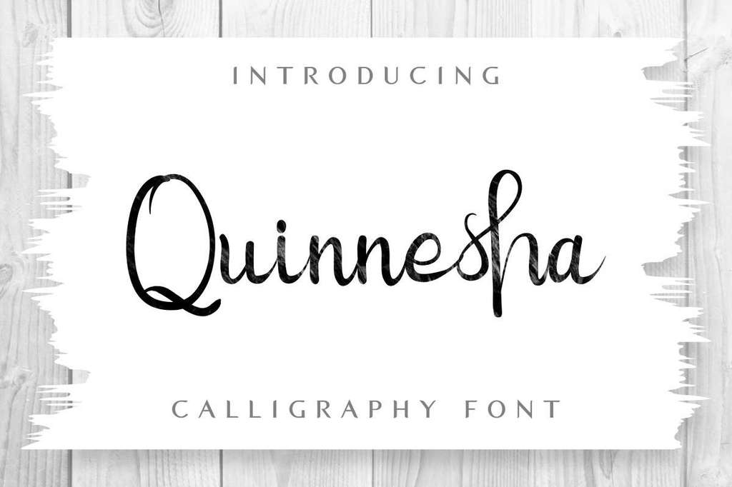 Quinneshademo Font Family website image