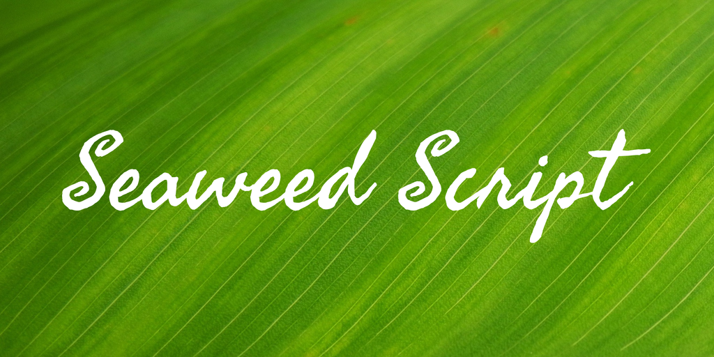 Seaweed Script Font website image