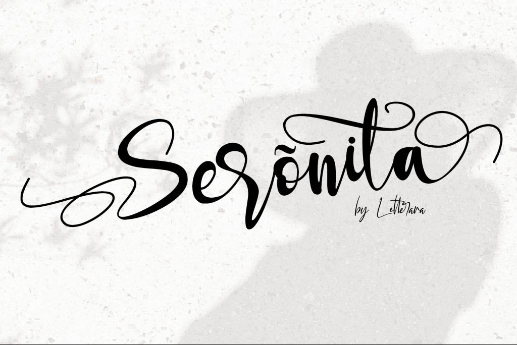 Seronita Font website image