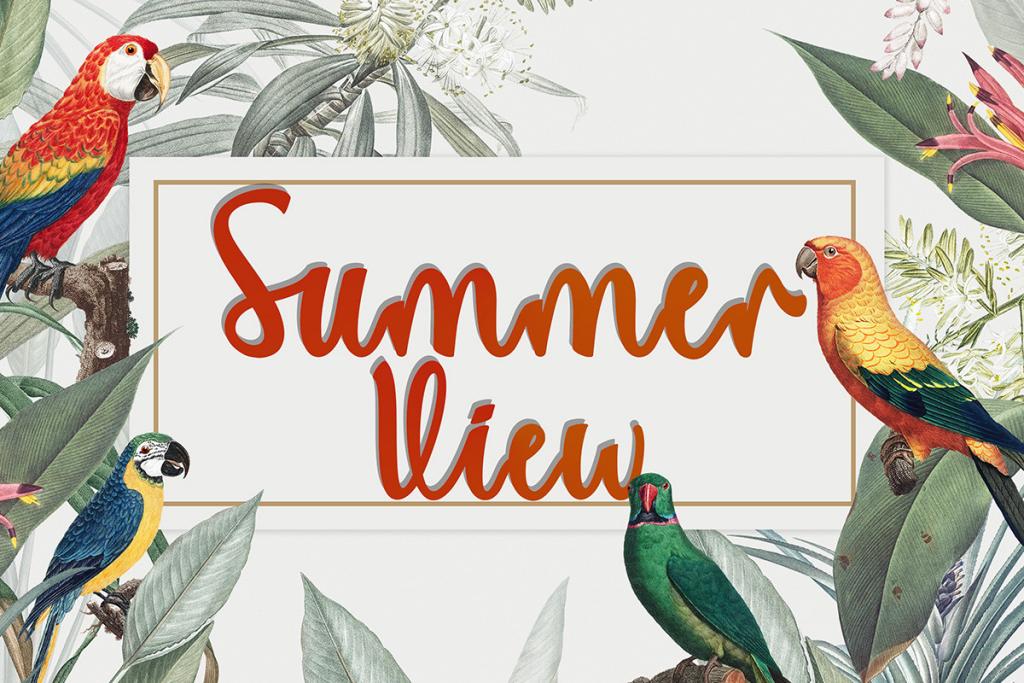 Summer View Font Family website image