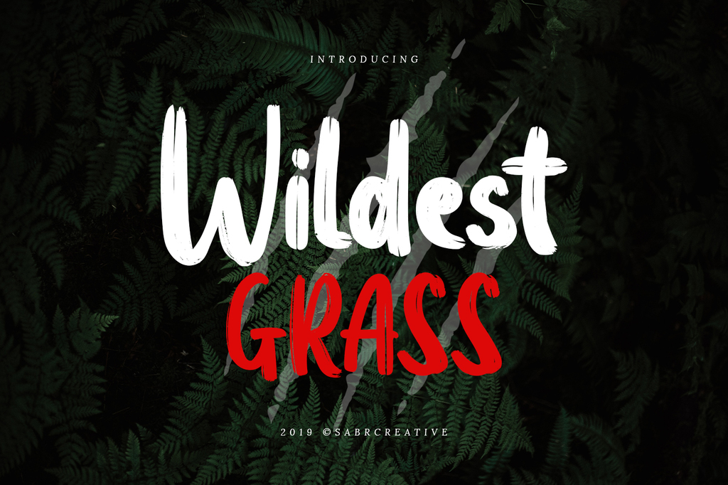 Wildest Grass Demo Font website image