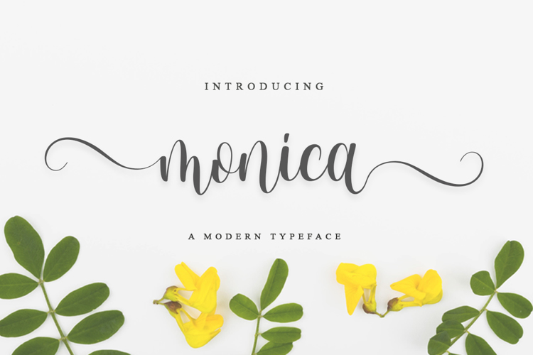 monica Font website image