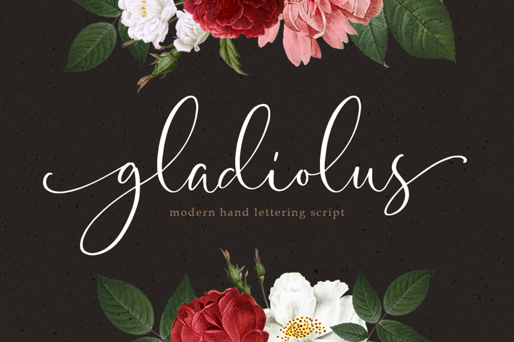 Gladiolus Script Font website image