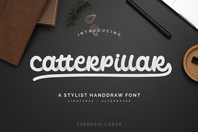 Catterpillar Regular Font website image