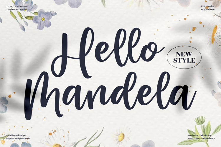 Hello Mandela Font website image