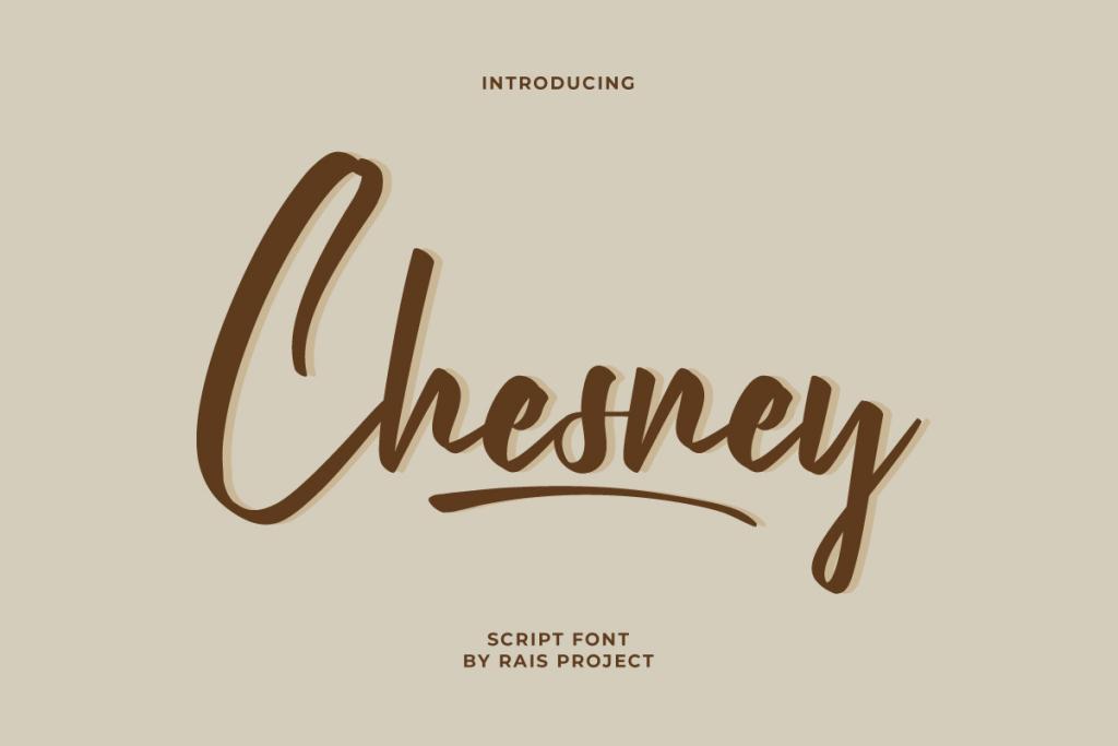 Chesney Demo Font website image