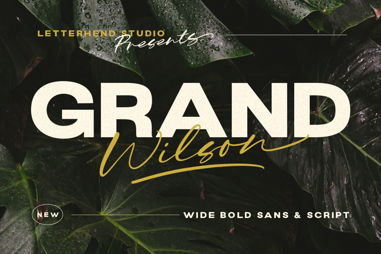 Grand Wilson Sans Font website image