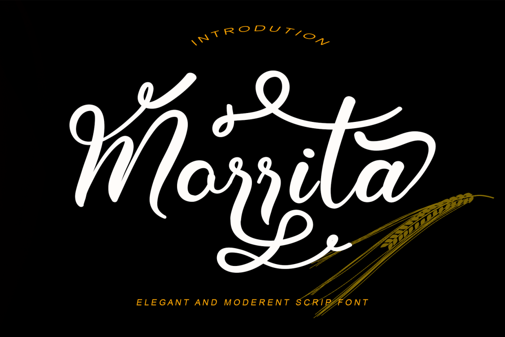 Morrita Font website image