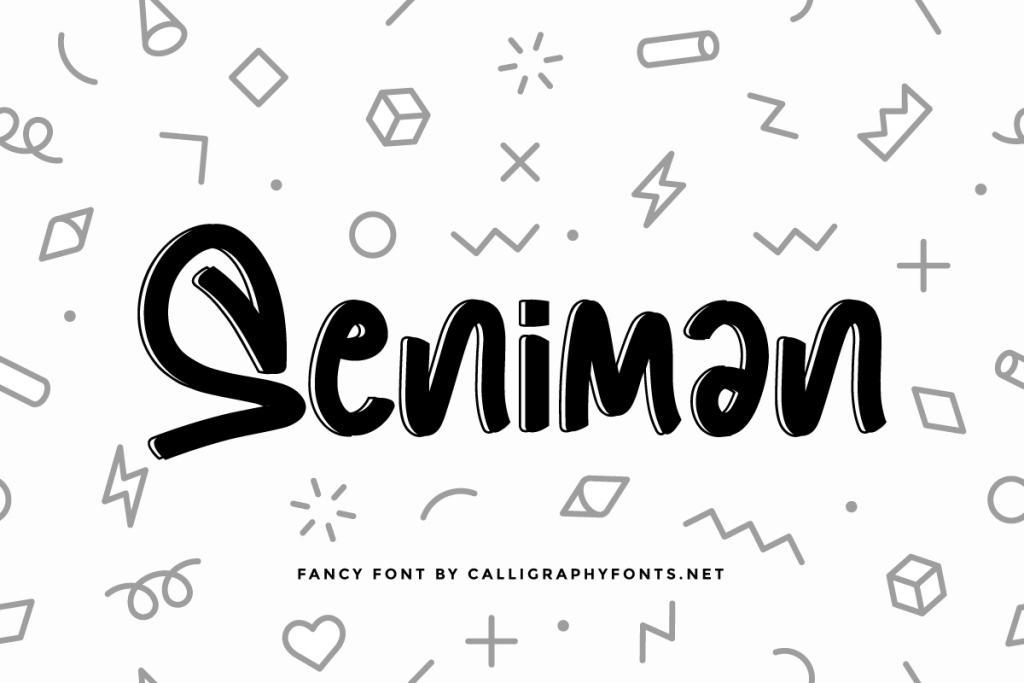Seniman Demo Font Family website image