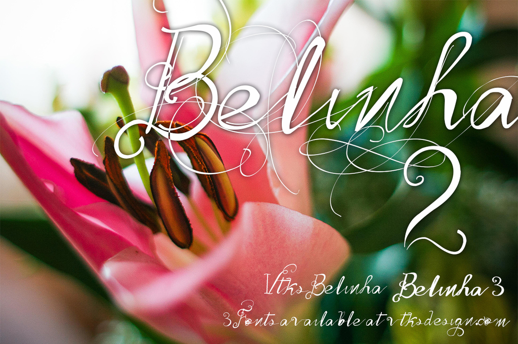 Vtks Belinha Font website image