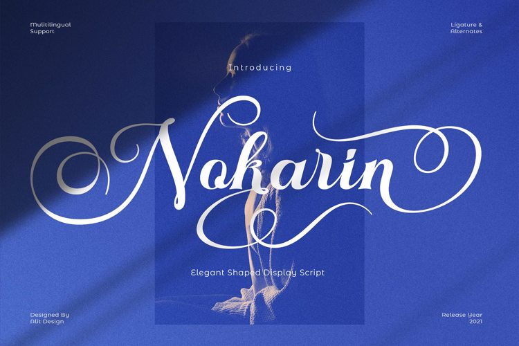 Nokarin Font website image