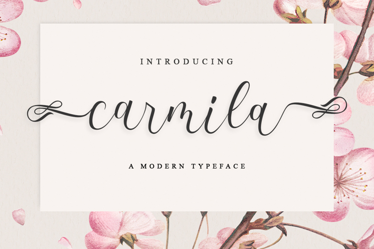 carmila Font website image