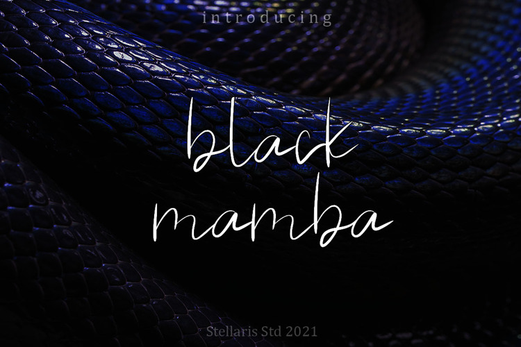 black mamba Font website image