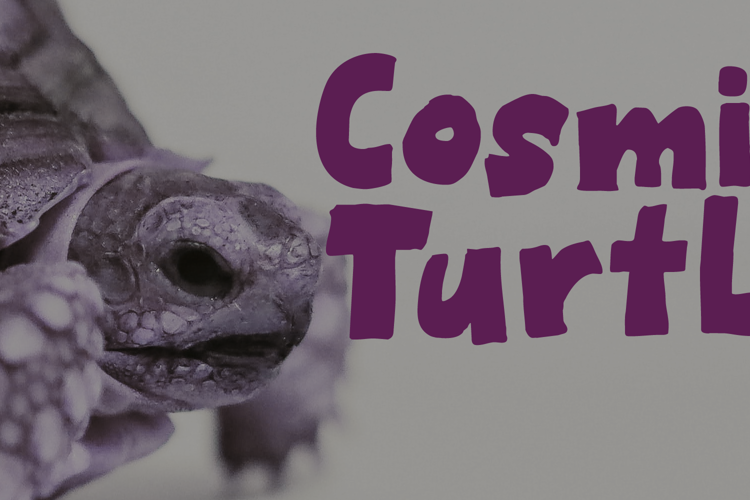 Cosmic Turtle Font website image