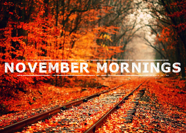 November Mornings Font website image