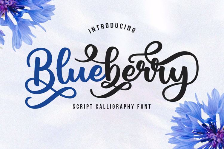 Blueberry Font website image