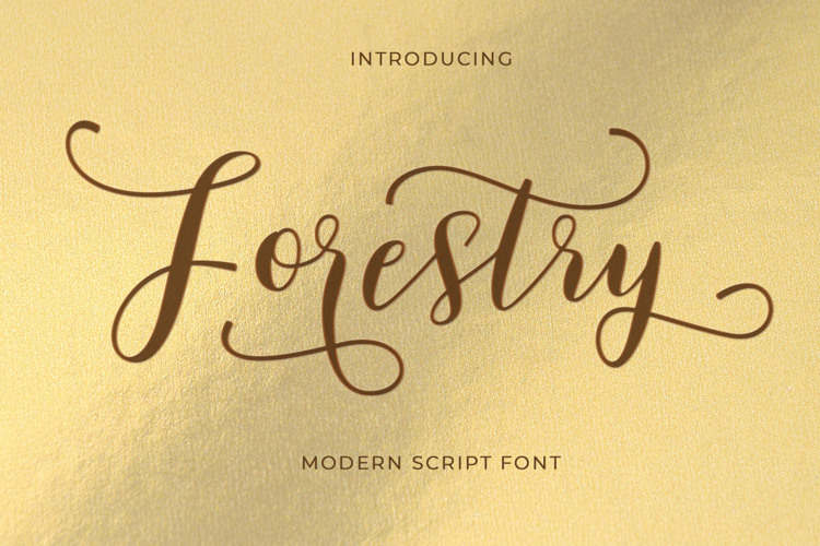 Forestry Script Font website image