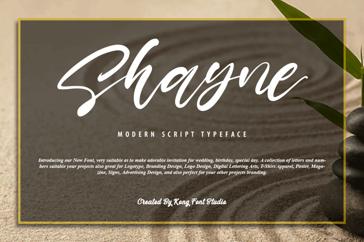 Shayne Font website image