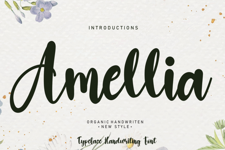 Amellia Font website image