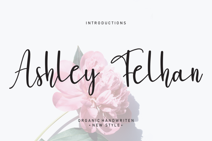 Ashley Felhan Font website image