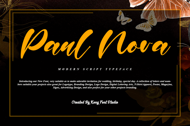 Paul Nora Font website image