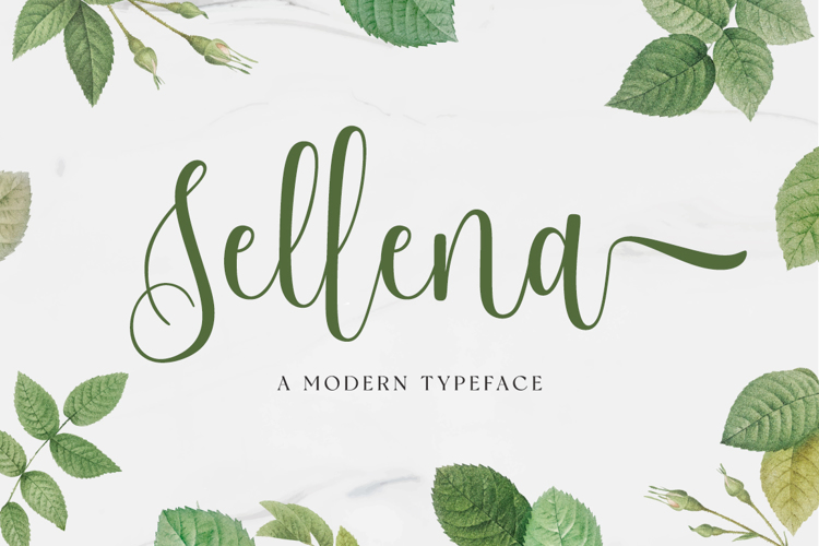 Sellena Font website image