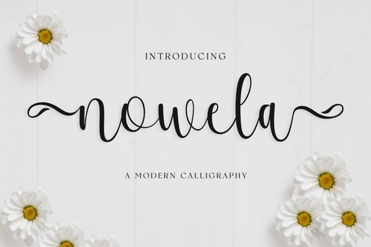 nowela Font website image