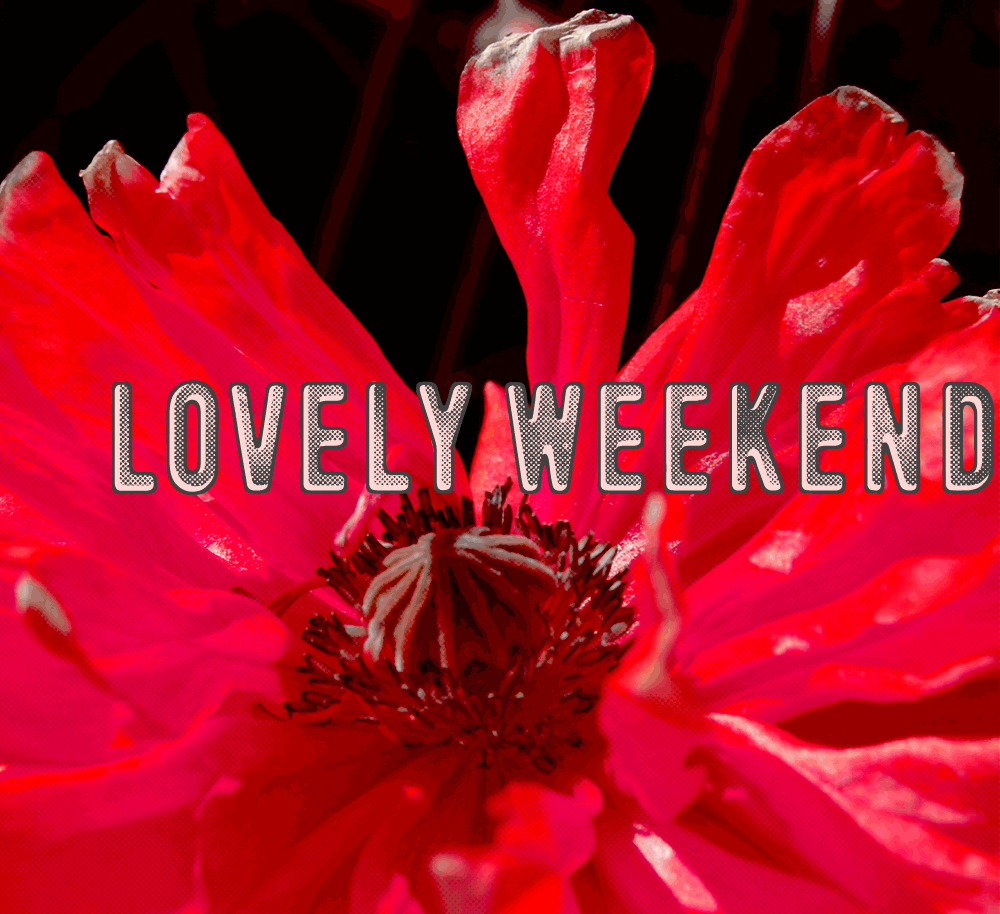 Lovely Weekend Font website image