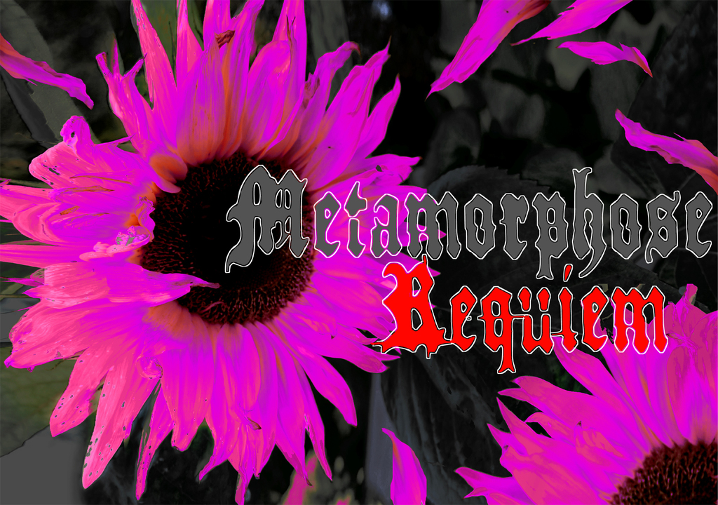 Metamorphose Requiem Font website image