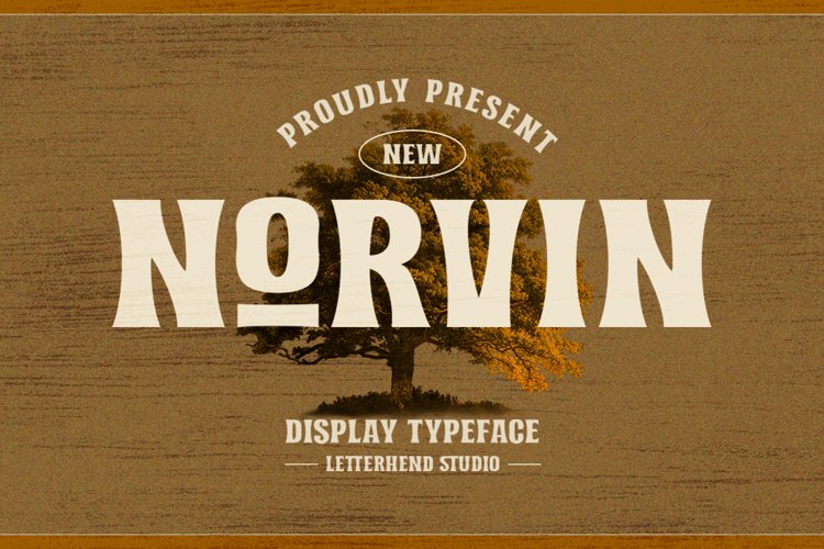 Norvin Font website image