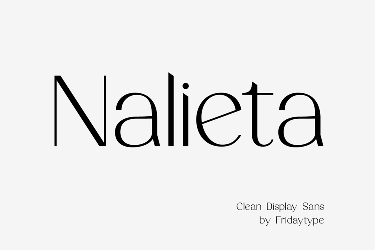 Nalieta Font website image