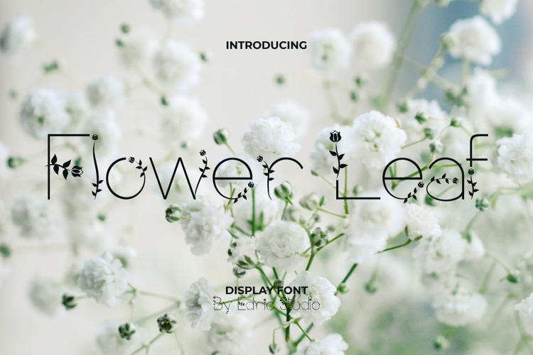Flower Leaf Font website image