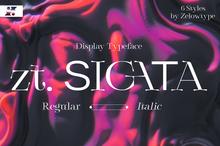 Zt Sigata Display Font website image