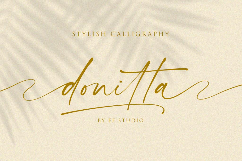 donitta – Personal Use Font website image