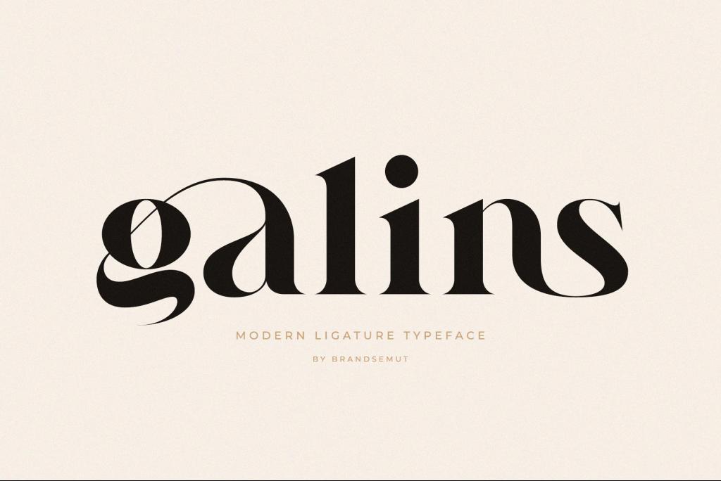 Galins Font website image
