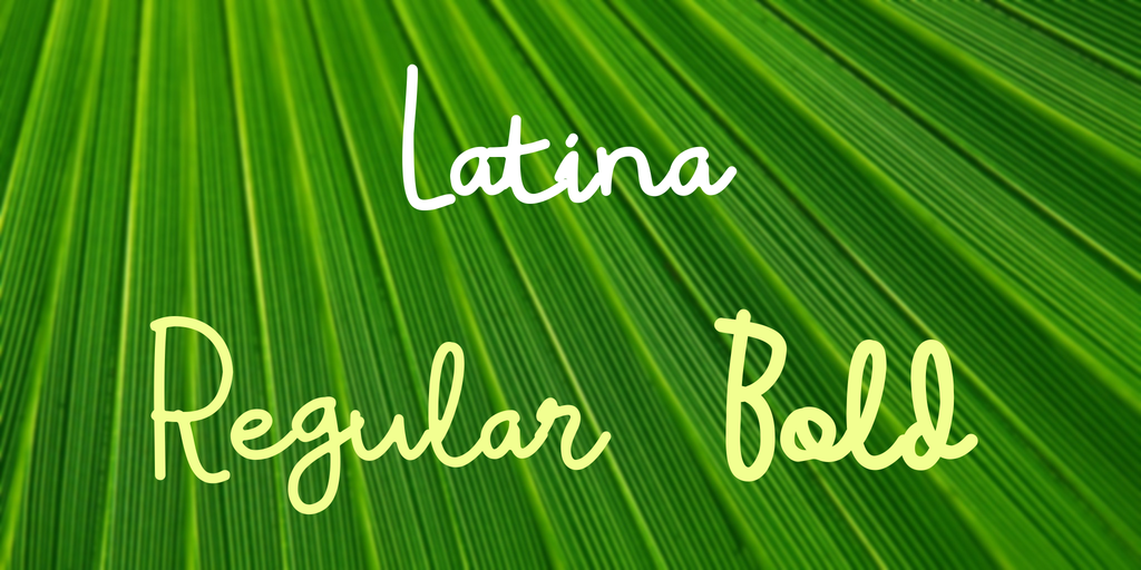 Latina Font Family website image