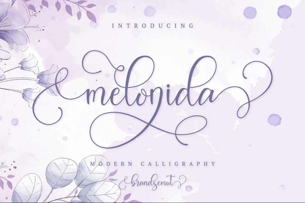 Melonida Font website image