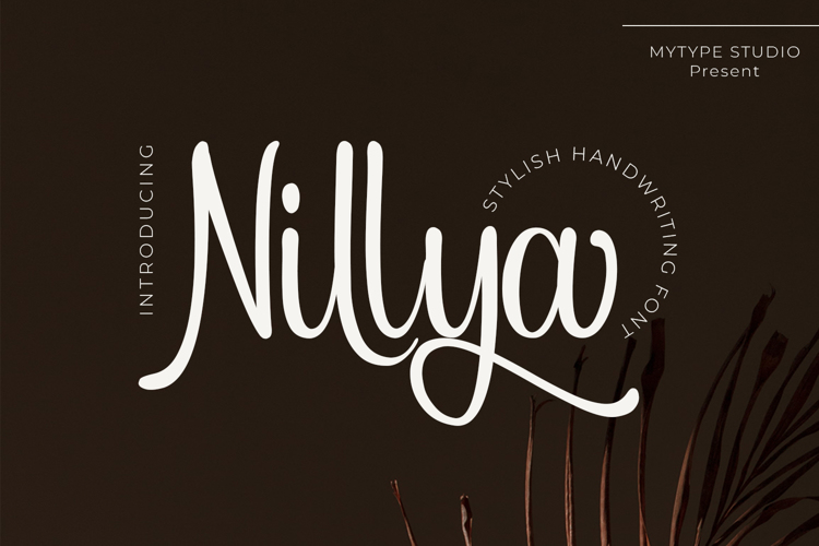 Nillya Font website image