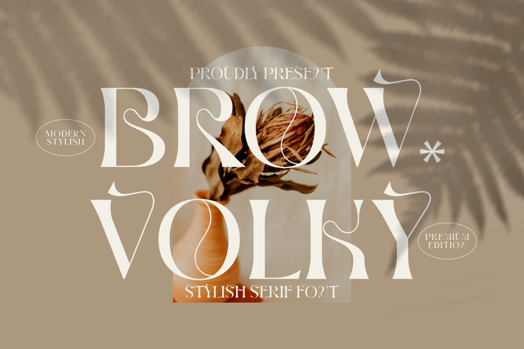 BROW VOLKY Font website image