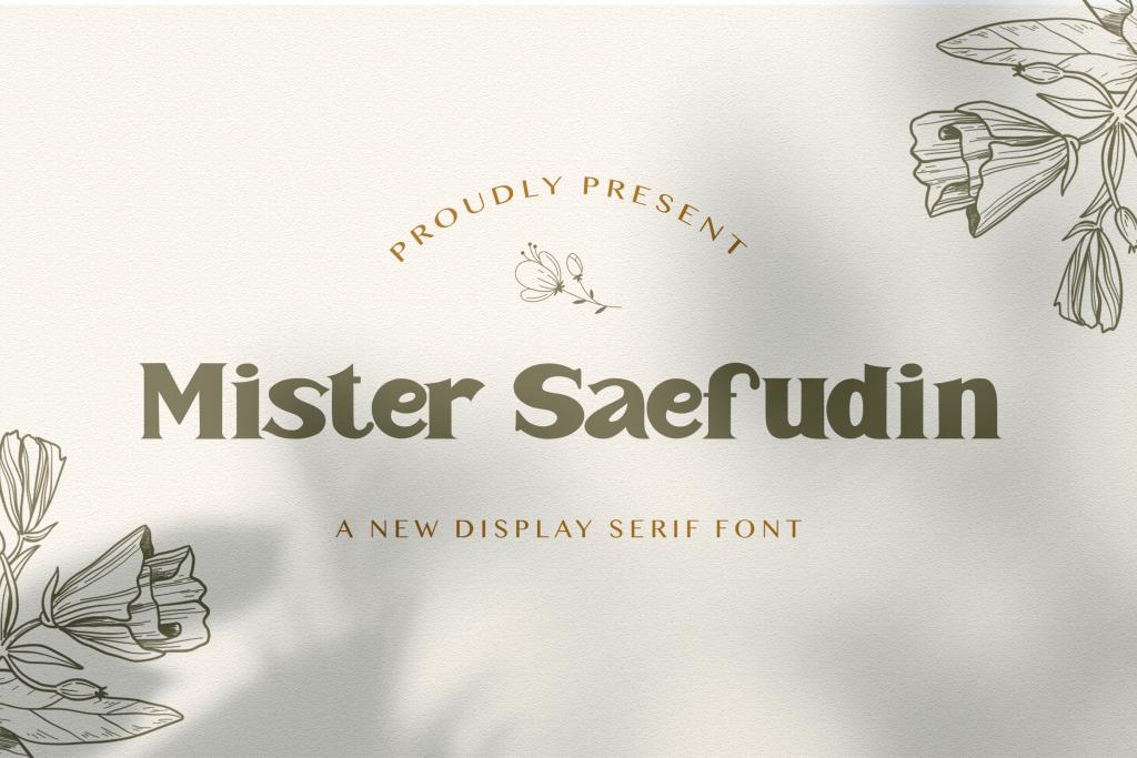 Mister Saefudin Font website image