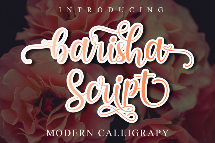 barisha Font website image