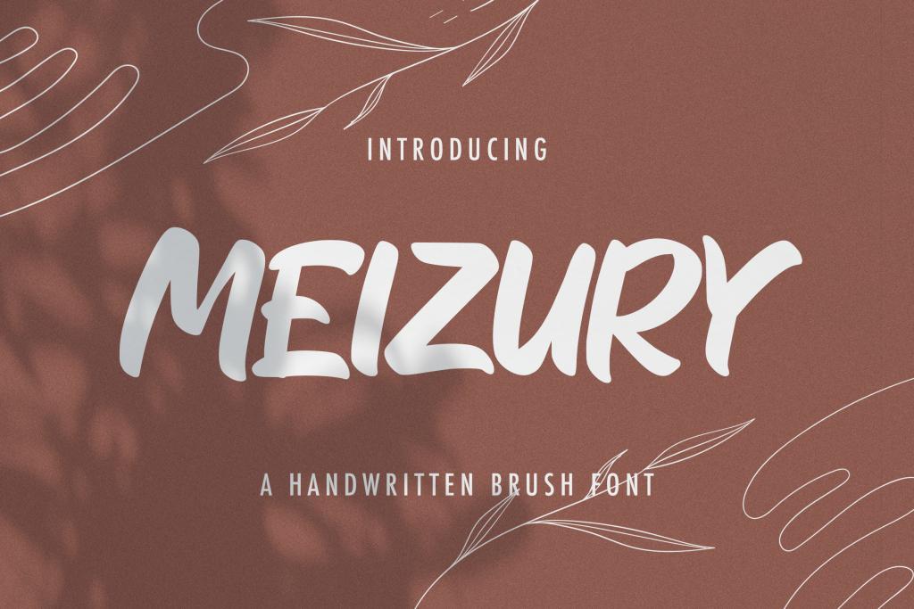 MEIZURY Font website image