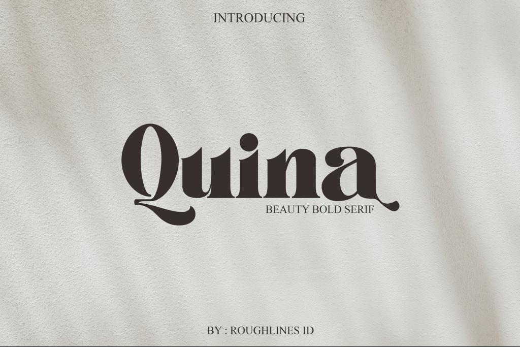 Quina-Freebies Font website image